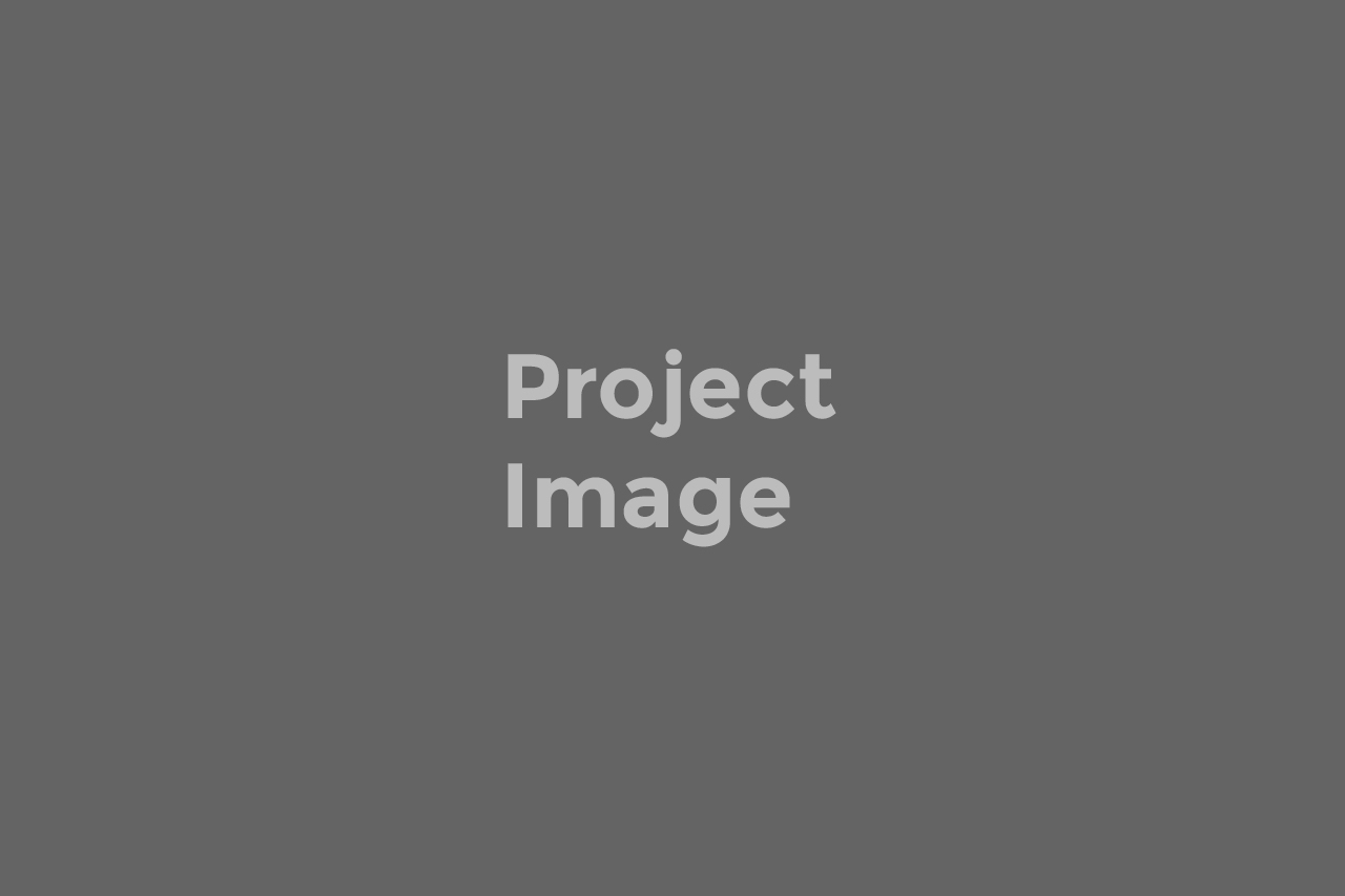 Project